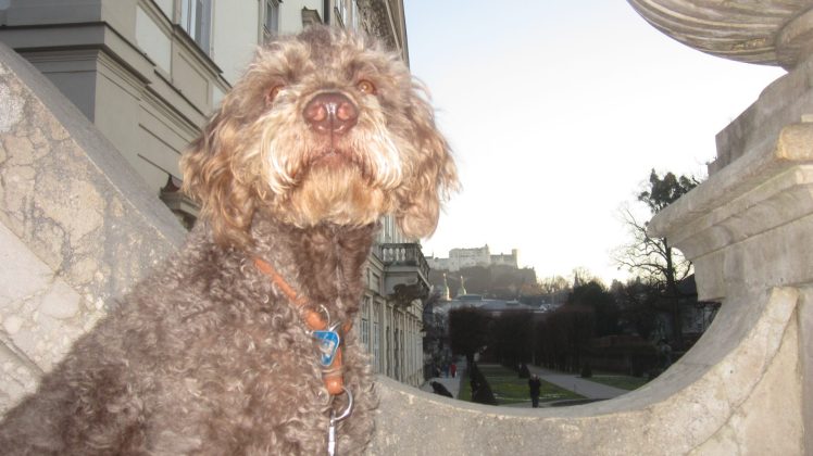 Mirabellgarten Salzburg