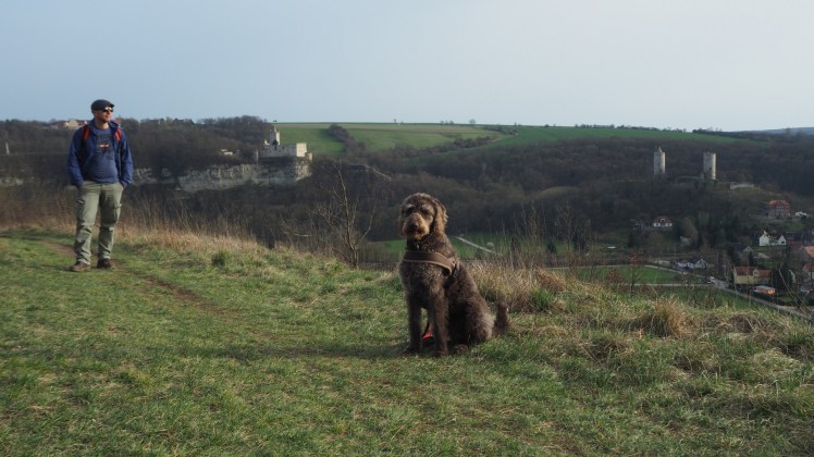 Blick zurück auf den Himmelreichweg