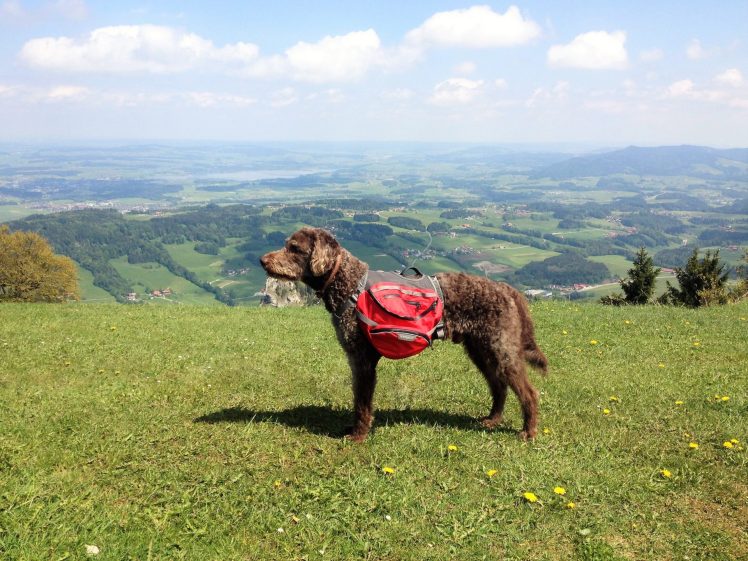 Anwolf - Rucksack packen für den Meraner Höhenweg