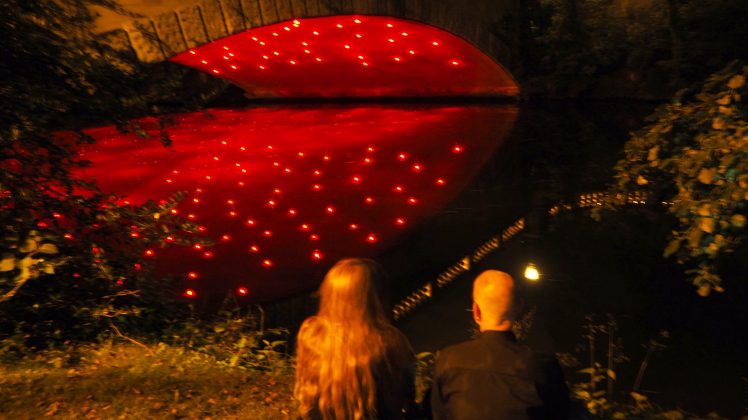 Lichtparcour Braunschweig bei Nacht