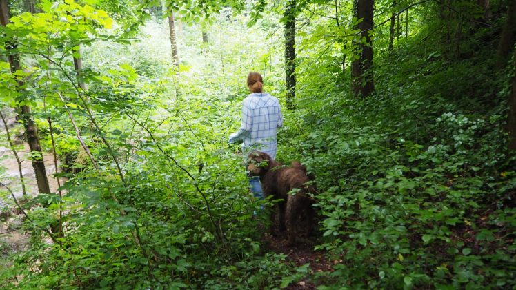 Aigener Park Salzburg
