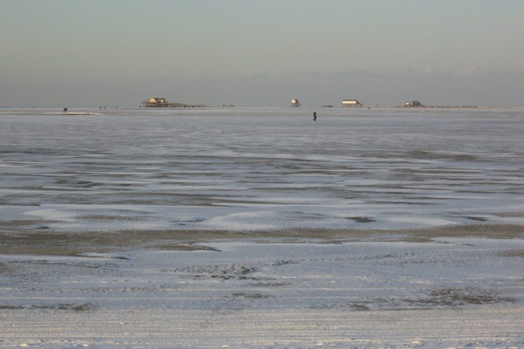 Wattenmeer im Winter