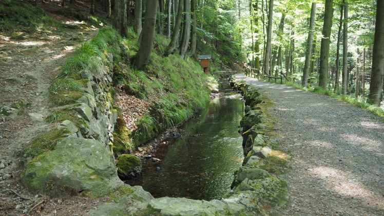 Graben bei Bad Harzburg
