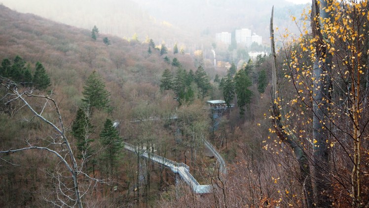 Baumwipfelpfad von oben