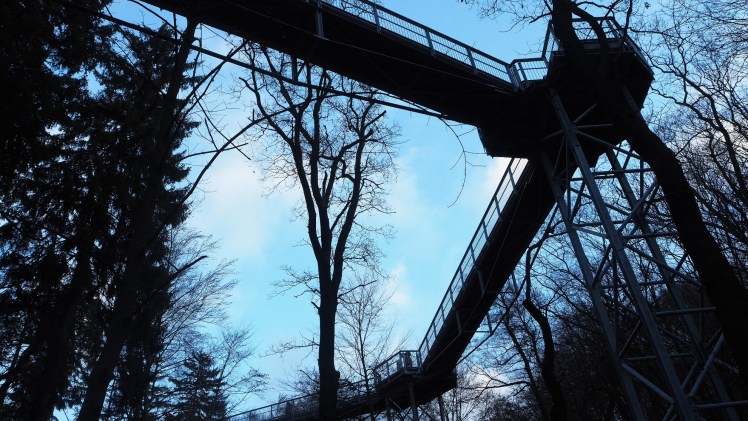 Baumwipfelpfad von unten