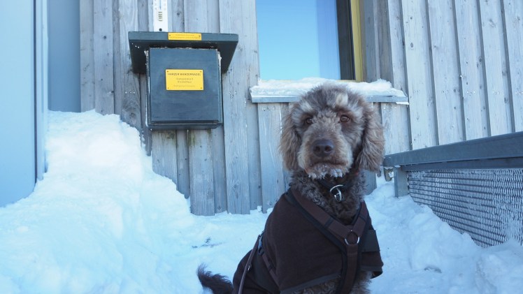 Brockenbesteigung geschafft!