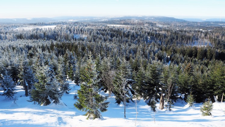 Winterwunderland im Harz