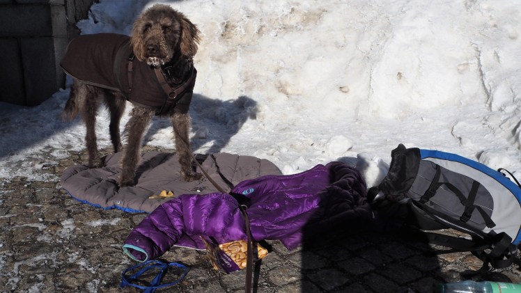 Anwolfs Basecamp am Brocken