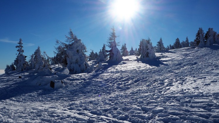 brocken-im-winter-22