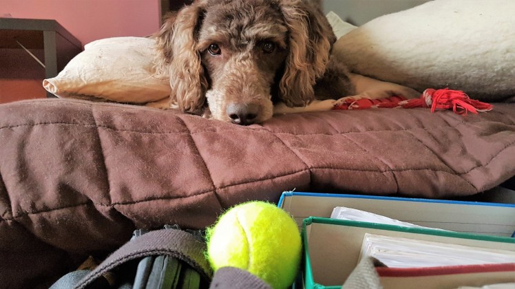 Einige Schätze wurden in der Bobby-Kiste gefunden.