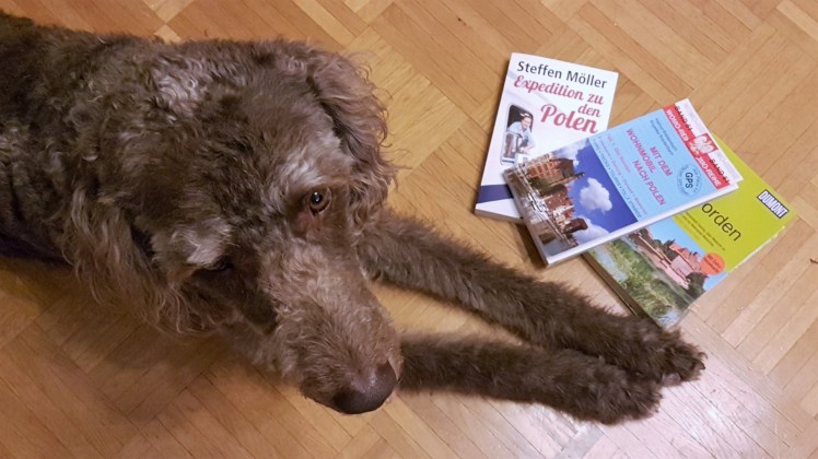 wohnmobil-mit-hund-12